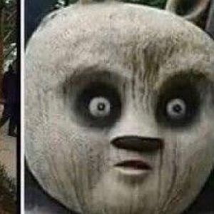 Meet your Posher, Dalton